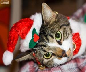 yapboz Bir Santa Claus şapka ile kedi